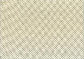 C4 CARTAGINESIS2 BLANCO