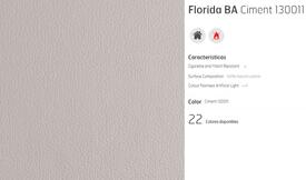 C6 PIEL FLORIDA CEMENT