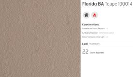 C6 PIEL FLORIDA TAUPE