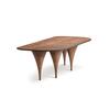 TABLE (Fixed organic-shaped top)_image