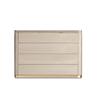 CHEST (Wooden top & wooden front)_image